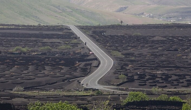 Lanzarote La Geria Vineyards Small‐Group Half‐Day Walking Tour