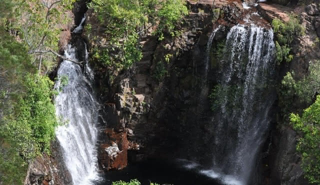 Litchfield and Jumping Crocodiles Full Day Trip from Darwin