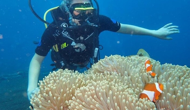 Small Group Private 3 Dives in Tulamben Best Spot