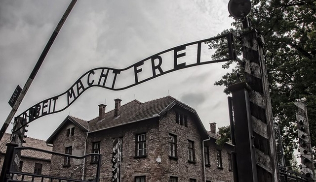 Auschwitz-Birkenau Private Trip From Krakow