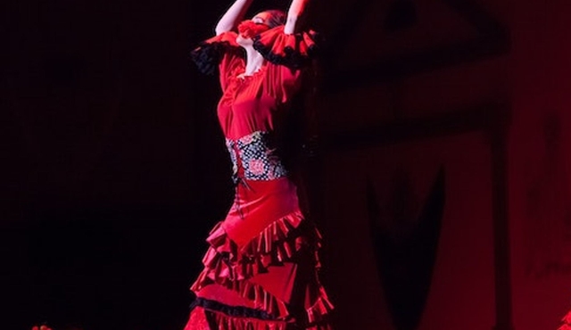 El Palacio Andaluz Seville: Solo Flamenco