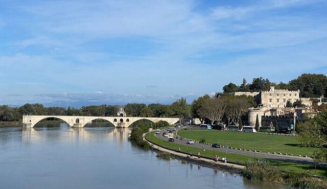 Enchanting Historical Walking Tour in Avignon