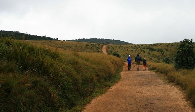 Hortan Plains Tour From Kandy