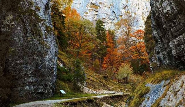 CURMATURA CHALET and CANYON eBike tour(BRASOV)