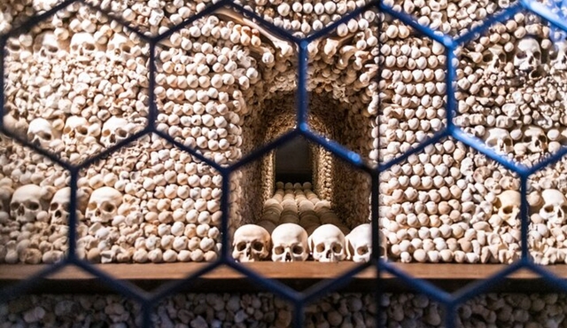 Kutna Hora Day Trip from Prague Including Entry Tickets