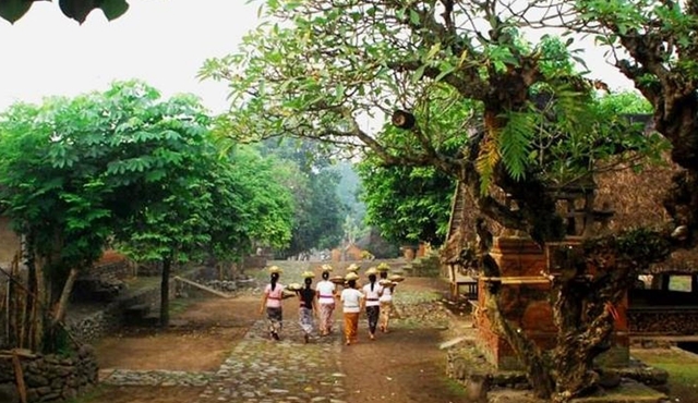 A Cultural Journey In East Bali: Bali Aga Trekking Tour