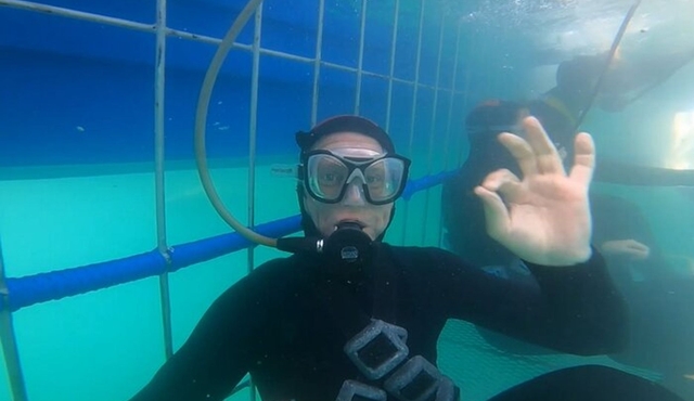 Cape Town Gansbaai Shark Cage Dive w/Hookah Air Supply & Lunch