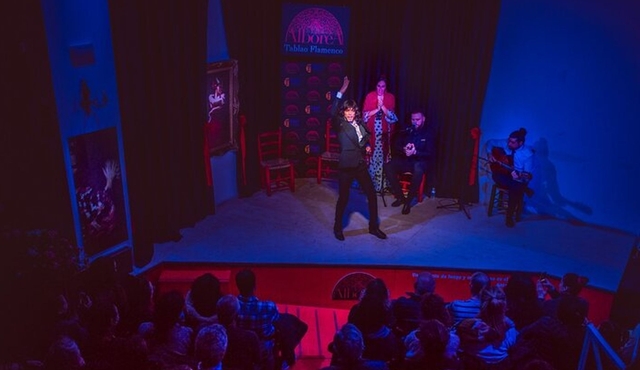 Skip the Line: Authentic Flamenco in Granada Ticket