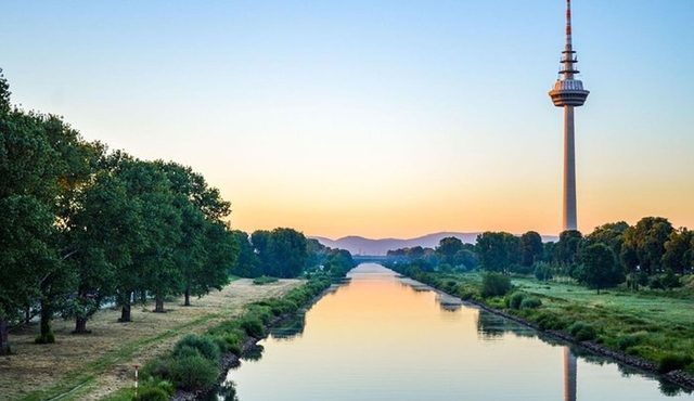 Explore the Instaworthy Spots of Mannheim with a Local
