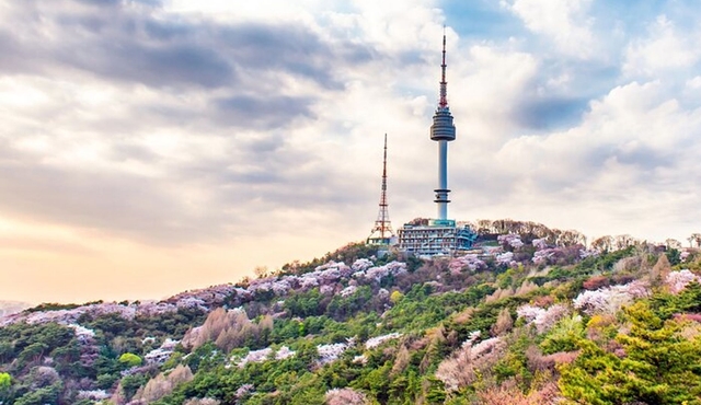 Seoul Panorama Tour; Landmarks & City Views