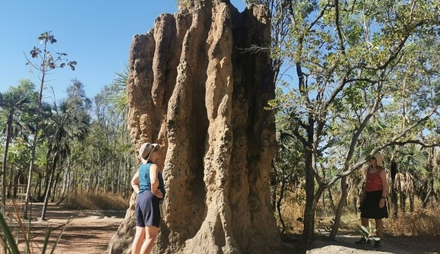 Litchfield Premium Day Tour, 10 guests only, lunch included