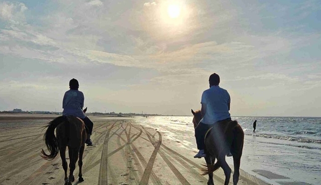 Horseback Riding Muscat Beach