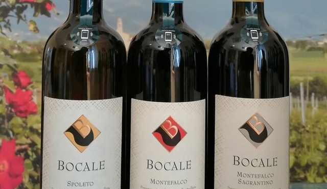 TASTING Selection of 3 wines in Montefalco