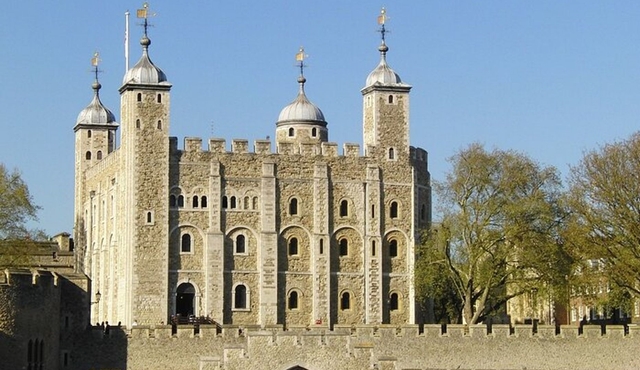 Excursão privada de meio dia em Londres com Torre de Londres e transporte