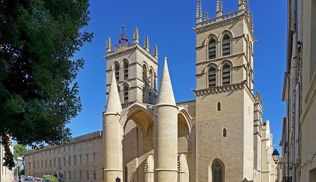 Montpellier Private Guided Walking Tour