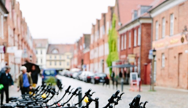Potsdam Bike Tour with Rail Transport from Berlin