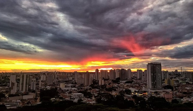 São Paulo Like a Local Customized Private Tour