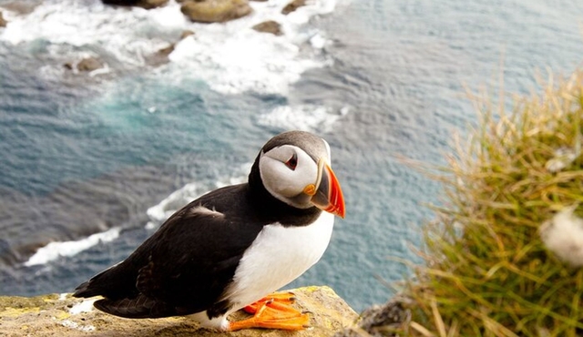 Aberdeen: North East Coastal Trail Day Tour