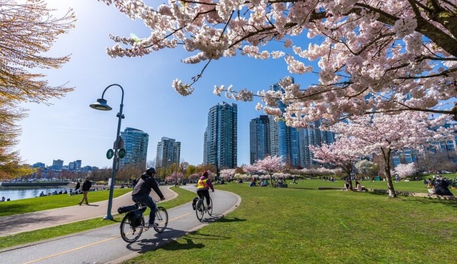 Private City Tour in Vancouver