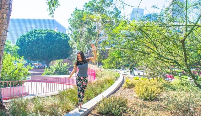Hollywood and Beverly Hills Movie Stars and History Tour
