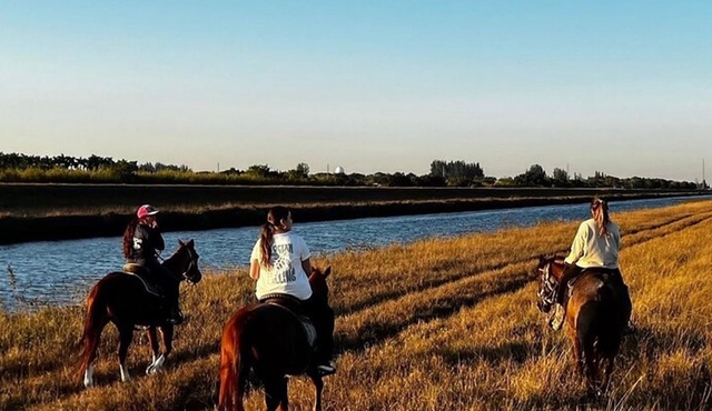 Horseback Riding in Miami