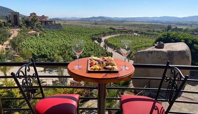 Private Tour in Guadalupe Valley, Vine Yards & Wine Route ENS MX