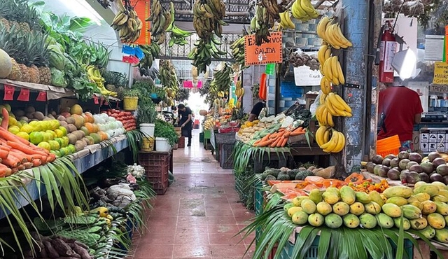 Steps Full of Flavor, Cancun Foodie & Market Tour