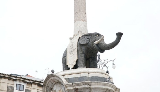 Visite guidée à pied des sites incontournables de Catane, tarif groupe