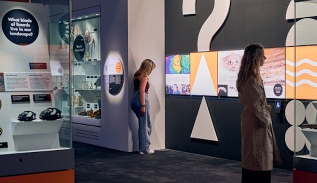 Melbourne Museum: Entry Ticket