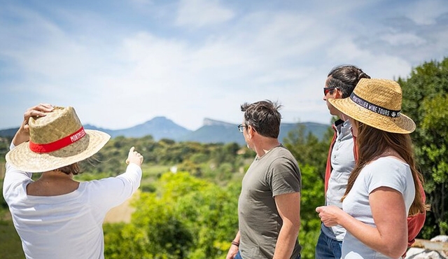 Languedoc and Pic Saint‐Loup Winery Tour from Montpellier