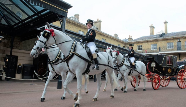 Royal Mews
