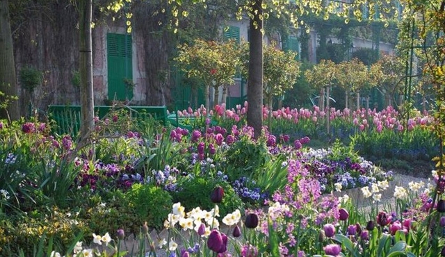 Giverny & Auvers Private Tour 