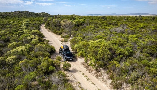 Port Lincoln Full‐day Exploration Tour