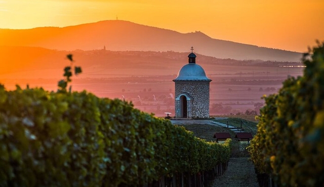 Moravian E‐Bike & Wine Day Trip From Brno