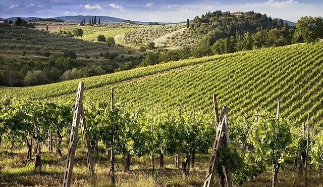 Livorno to San Gimignano and Siena Tour with Wine Lunch