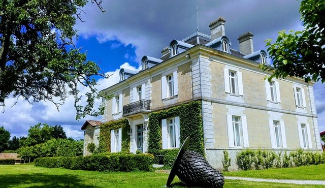 Private Bordeaux Wine Tasting Tour from San Sebastián
