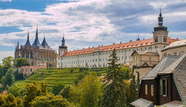 The Medieval Town of Kutna Hora: Private Day Trip from Prague