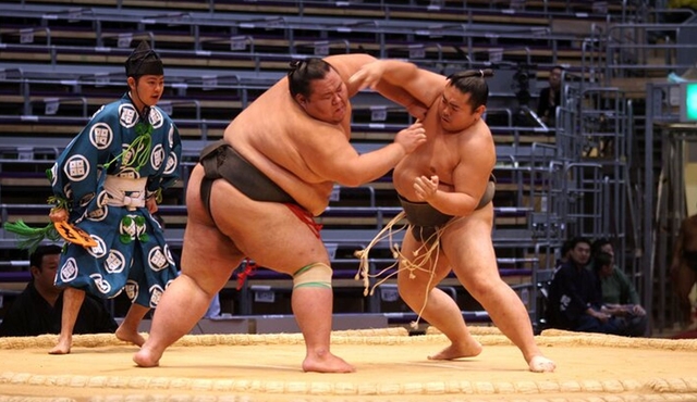 Sumo Wrestling Tournament A‐Class Seats & ExpertGuide | Tokyo MAY