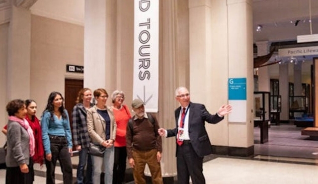 Auckland Museum: Entry Ticket