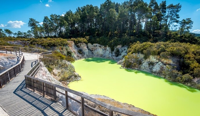 Rotorua Cultural & Geothermal Small Group Tour From Auckland
