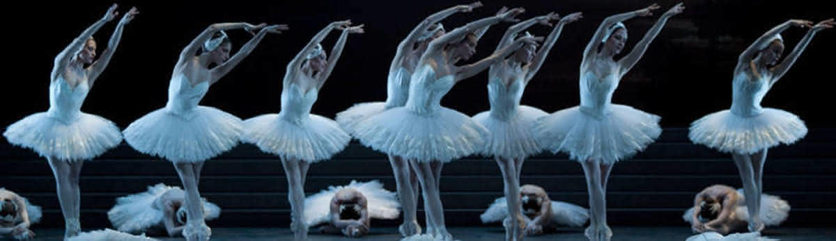 Ballet de l'Opéra national de Paris, La Lac des Cygnes © Julien Benhamou