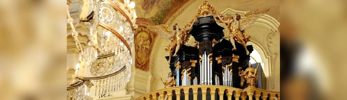 St. Nicholas Church, Organ
