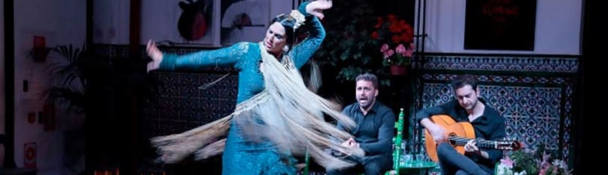 La Casa del Flamenco: Traditional Dance in Seville