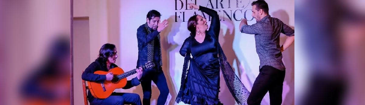 Casa del Arte Flamenco: Traditional Dance in Granada, 2024-04-28, Гамбург