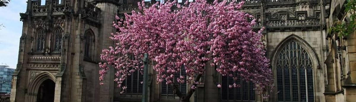 Manchester Cathedral, Credit: flickr/Mark Watmough