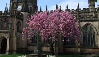 Manchester Cathedral