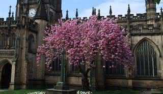 Quatro Estações de Vivaldi à luz de velas na Catedral de Manchester