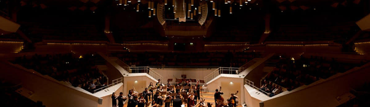 Berlin Camerata Symphony Orchestra