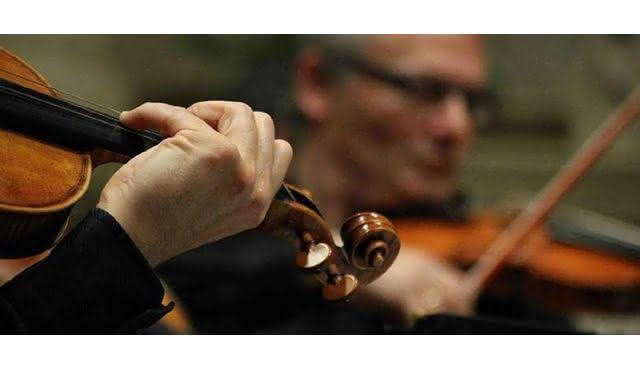 Dinner & Classical Concert in Venice: Concert for Cello, Strings and Harpsichord