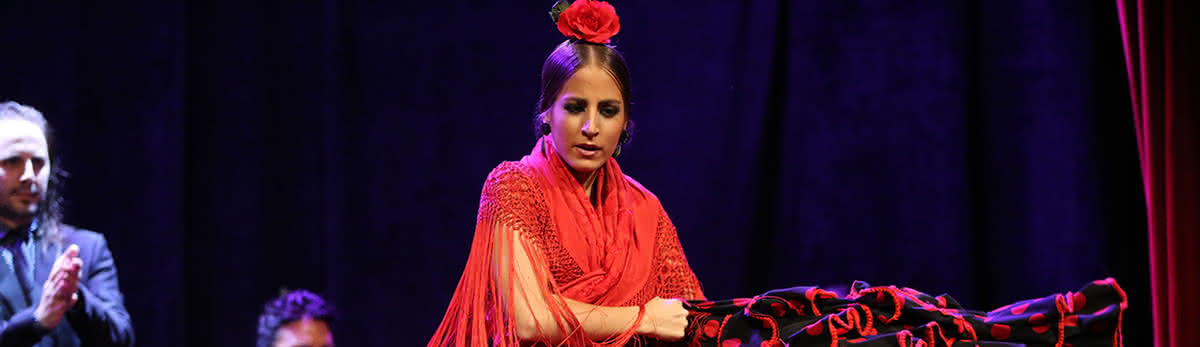 Flamenco Show at the Theater City Hall